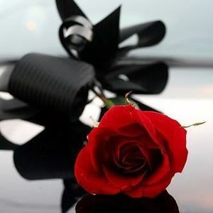 Meet your Posher, Alma